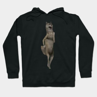 Ijbiñij wolf dancing meme animation 3d Hoodie